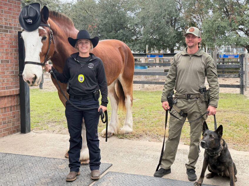Two winners of Jacksonville Sheriff's Award of Excellence with their service animals, a dog and a horse